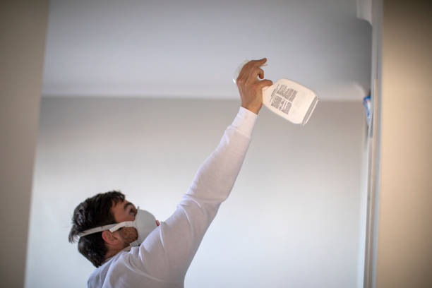 Best Mold Removal Specialists  in Watford City, ND