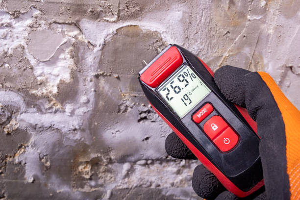 Best Toxic Mold Removal  in Watford City, ND