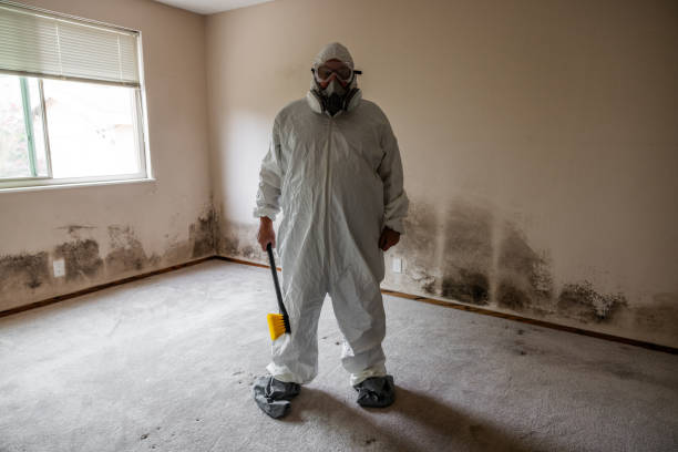 Home Mold Removal in Watford City, ND